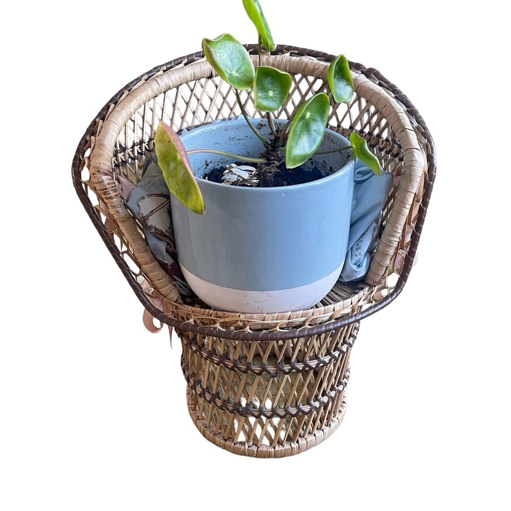 Vintage Mini Wicker Peacock Chair